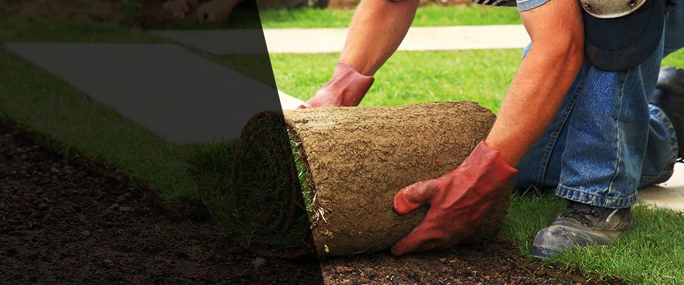 Decatur Landscapers